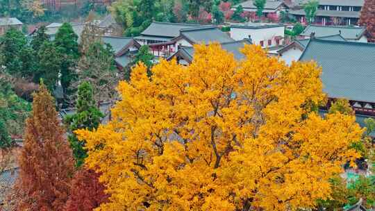 航拍杭州径山寺