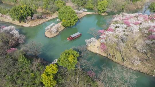 杭州西溪湿地梅花航拍