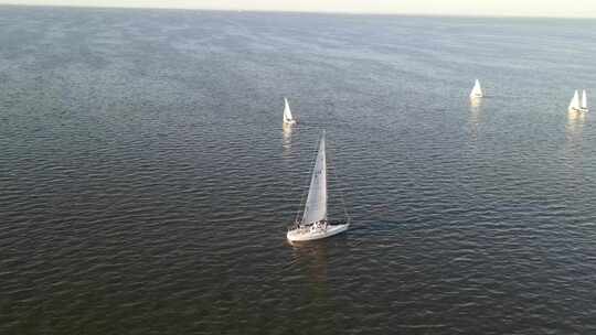 美国路易斯安那州新奥尔良附近庞恰特雷恩湖帆船赛上的赛艇天线。视频素材模板下载