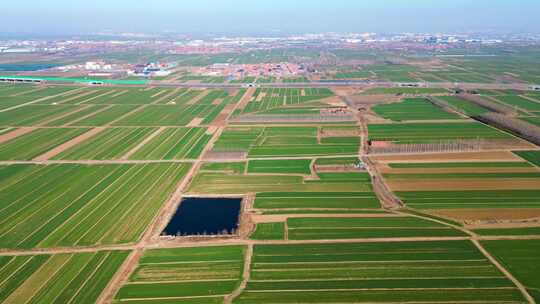 航拍麦田耕地田园风景