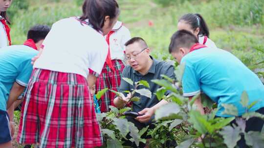 户外劳动课 学生锄草视频素材模板下载