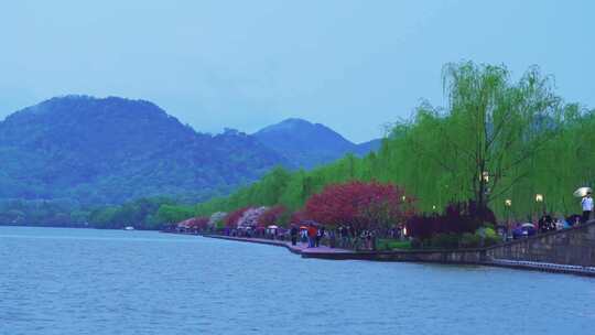 杭州西湖雨后傍晚蓝调夜景