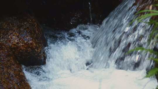 山涧泉水自然流水清泉水花