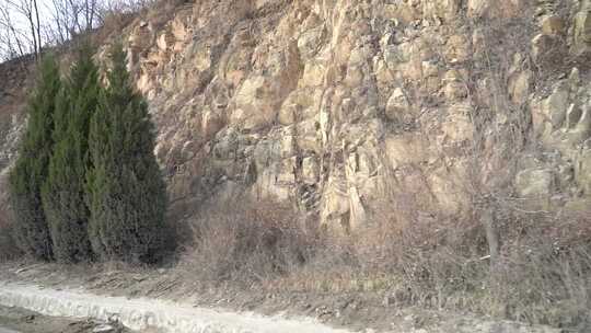 旅行 沿途 风景 公路 树