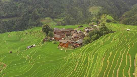 山村稻田梯田俯瞰全景