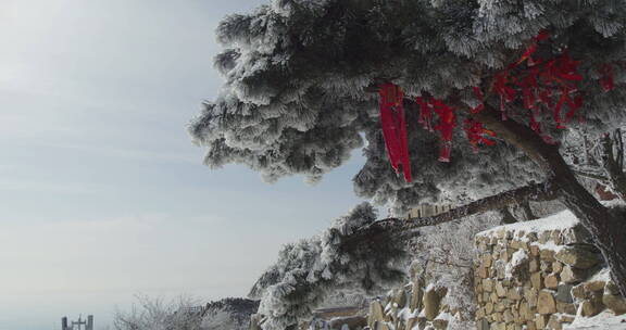 山东泰山风景区雪景下雪