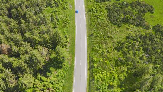 森林公路中行驶的汽车