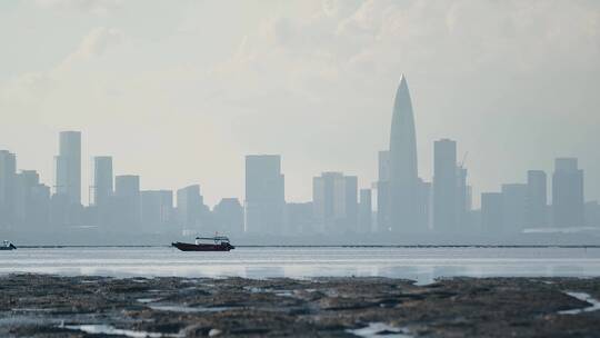 香港瞭望深圳视频深圳湾