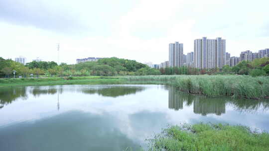 武汉江夏区藏龙岛国家湿地公园