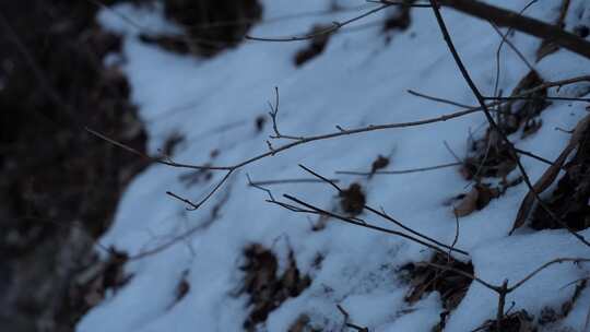 冰锥 冰瀑 冰雪 冬季 寒冷 结冰