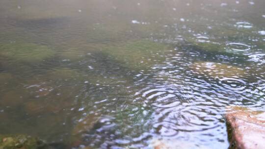 细雨中的潺潺溪流自然风光背景素材