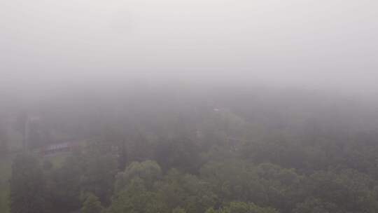 无人驾驶飞机在薄雾中的树木上空射击视频素材模板下载