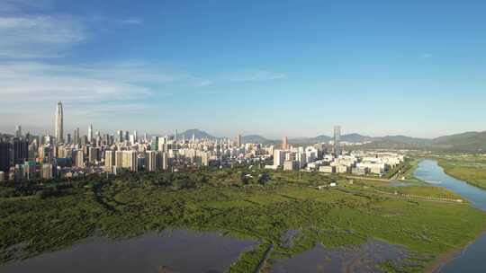 福田红树林生态公园