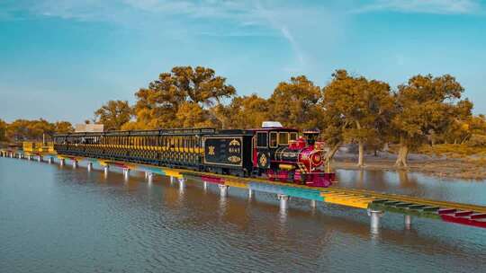 额济纳胡杨林小火车内蒙古风景秋天胡杨