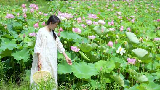 荷花特写池古风唯美少女汉服意境大片白粉色