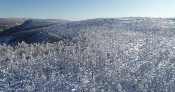 零下40多度的低温航拍大兴安岭冰雪雾凇