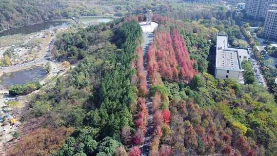 武汉江汉区藏龙岛湿地公园航拍