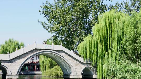 山东济南大明湖公园景区湖面景色与石拱桥