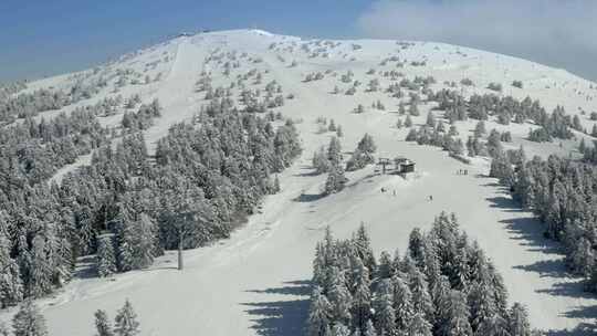 雪，斜坡，冬季，针叶树