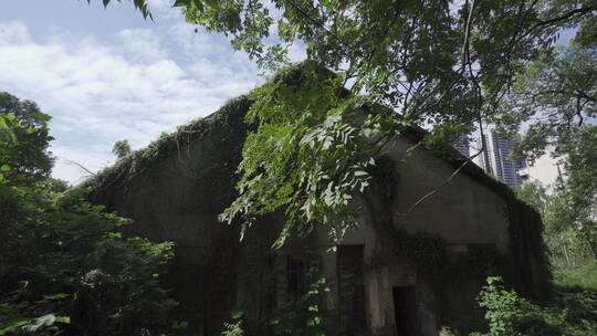 老街年代感建筑夏季树荫光影