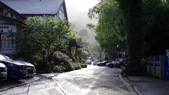 乡村道路旁停满车辆的宁静街景