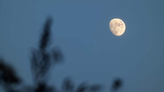 月亮月球夜晚天空皎洁明月特写摄影