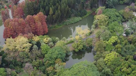 广州华南植物园航拍视频素材模板下载