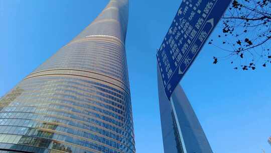 透过树枝叶子仰望高楼大厦上海中心大厦风景