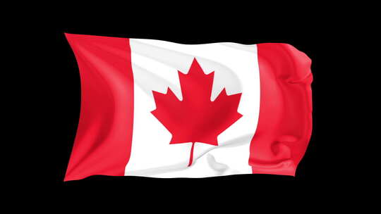 循环挥舞国旗加拿大