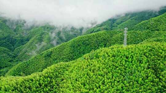 平塘马安 航拍竹海 航拍