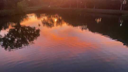 夕阳 晚霞 落日 日落 晚上 傍晚 深圳