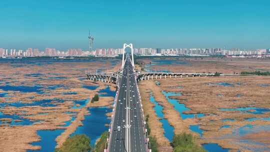 黑龙江大庆市湿地大桥秋季风景航拍4K