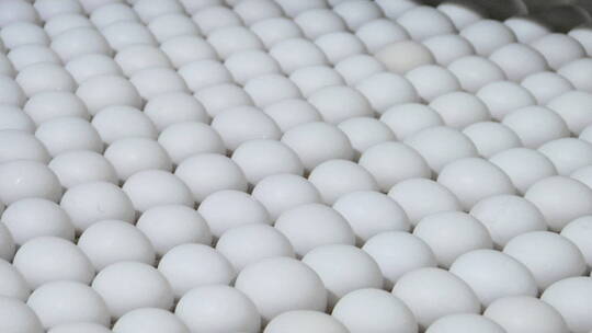 移轴拍摄排列整齐的鸡蛋
