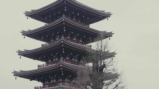 日本东京雨天的浅草寺五层塔。跟踪拍摄