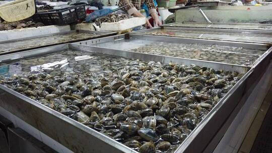 海鲜市场购买海蛎子、龙虾、扇贝