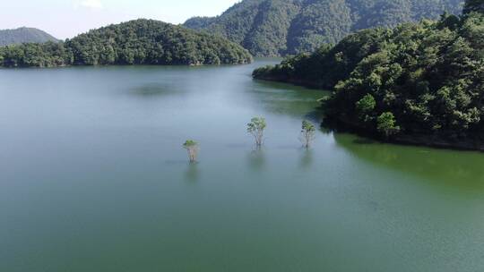 航拍太湖源景区里畈水库和周围的山林视频素材模板下载