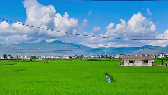 4K高清田园  晚霞彩虹空镜稻田风景小溪河流