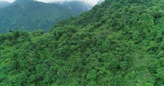 航拍峨眉山后山风景夏天青山美丽