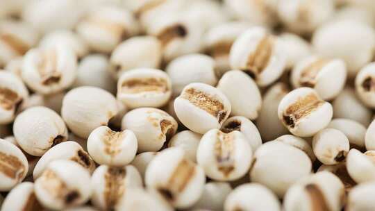 薏米微距特写素材