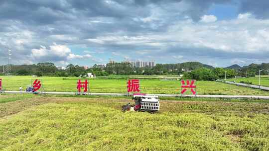 中国广州市增城区丝苗米省级现代农业产业园