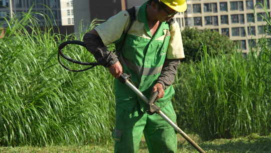 城市绿化工人除草