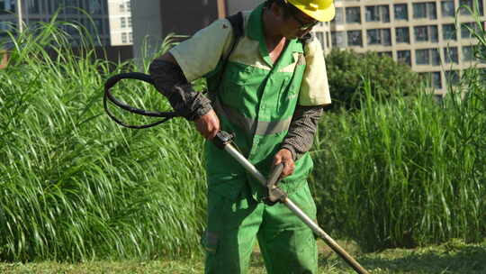 城市绿化工人除草视频素材模板下载