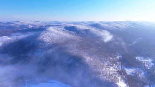 大兴安岭林海雪原冬季雾凇250113 (21)