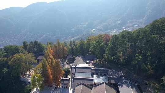 航拍南岳衡山福严寺古建筑群以及千年银杏树