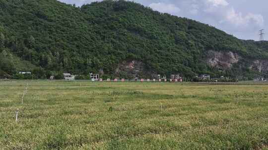 贵州毕节香葱豆苗种植基地航拍