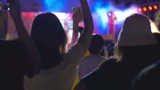 成都音乐节现场夜晚观众人群挥手舞动视频素材模板下载