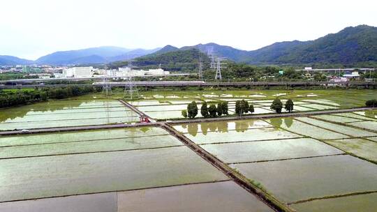 稻田之上轻轨准时到达