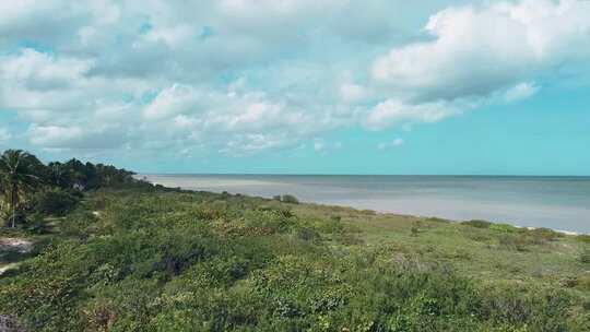 海边树林海边景色