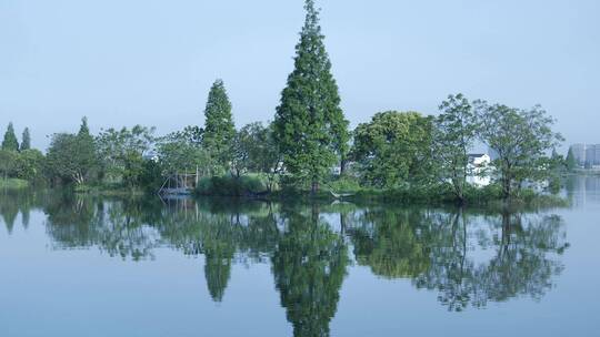 绍兴江南水乡东鉴湖视频