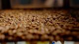 咖啡豆加工生产【4K】高清在线视频素材下载